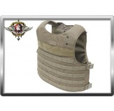 TAG Combat Agressor Plate Carrier